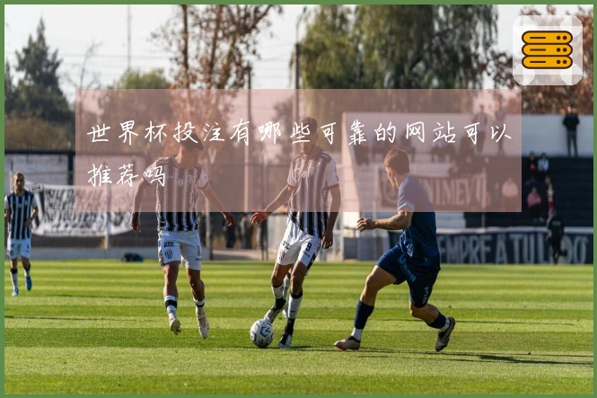 世界杯投注有哪些可靠的网站可以推荐吗