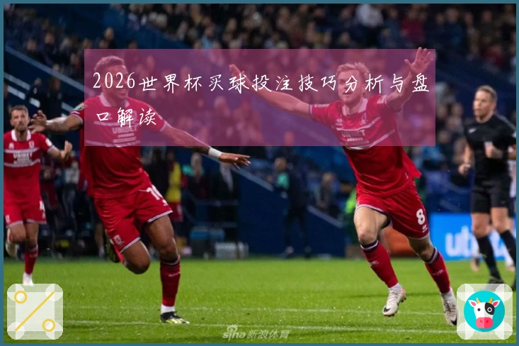 2026世界杯买球投注技巧分析与盘口解读