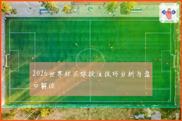 2026世界杯买球投注技巧分析与盘口解读