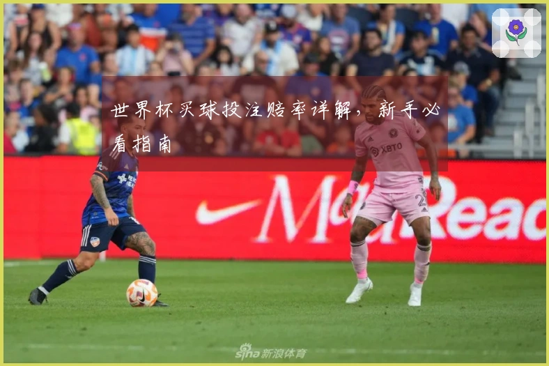 世界杯买球投注赔率详解，新手必看指南