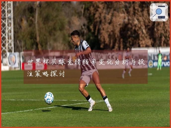 世界杯买球竞猜赔率变化分析与投注策略探讨