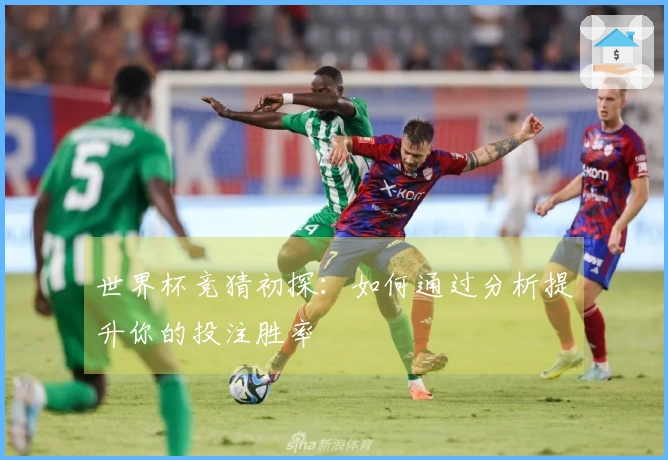 世界杯竞猜初探：如何通过分析提升你的投注胜率