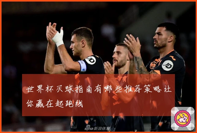 世界杯买球指南有哪些推荐策略让你赢在起跑线