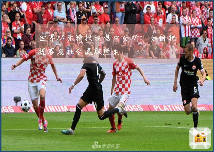 世界杯竞猜投注盘口分析：如何把握赛场机会赢取胜利