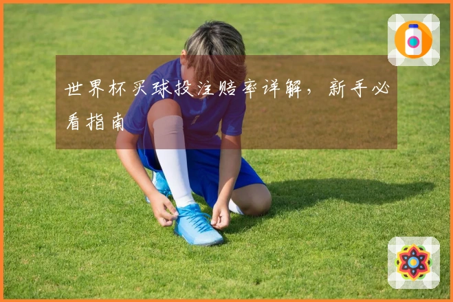 世界杯买球投注赔率详解，新手必看指南