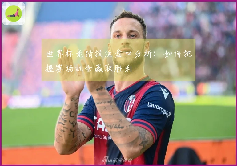 世界杯竞猜投注盘口分析：如何把握赛场机会赢取胜利