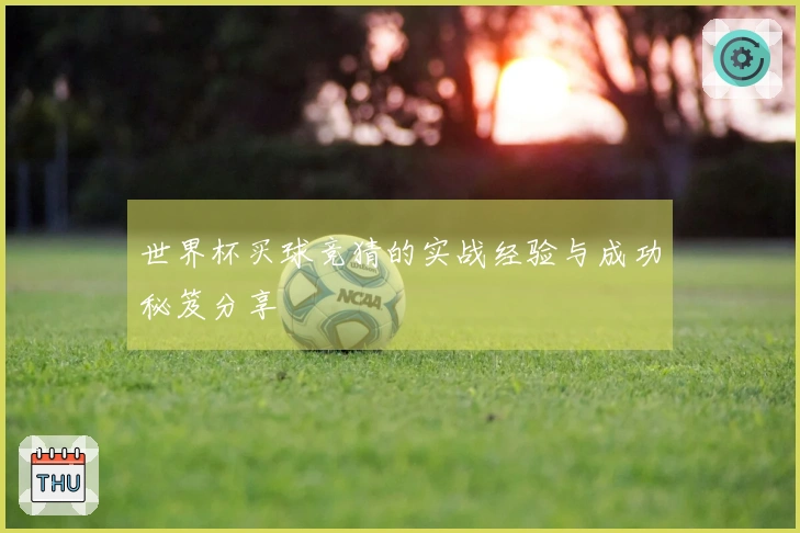 世界杯买球竞猜的实战经验与成功秘笈分享